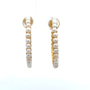 The Makena Hoop Earrings - thumb 2