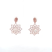 The Bisil Drop Earrings - thumb 2