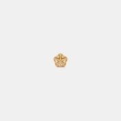 The Zyntherra Stud Earrings - thumb 8
