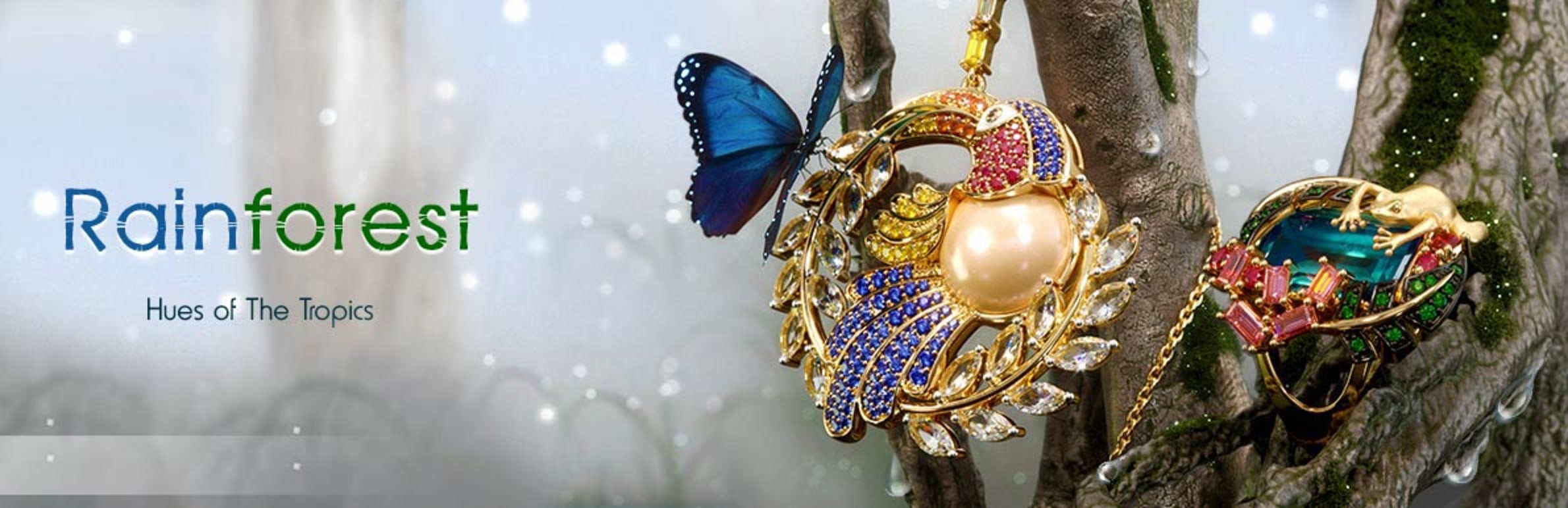 Rainforest Collection