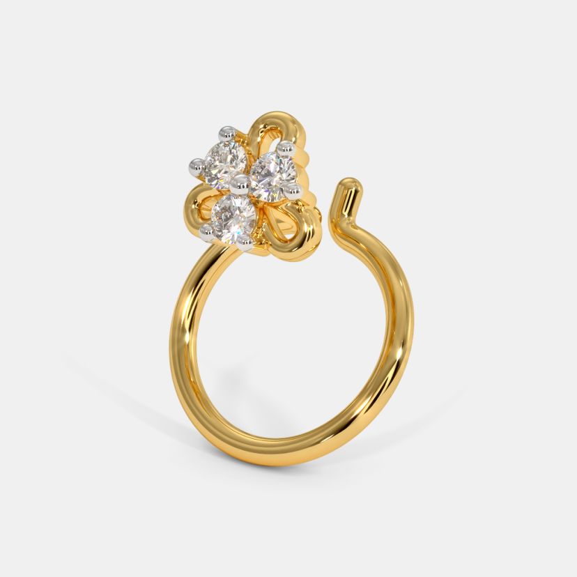 The Aeny Nose Pin - image 1